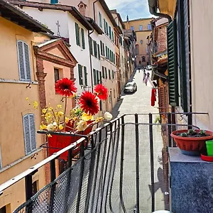 La Campanina-nel Cuore Di E Della Contrada Apartamento